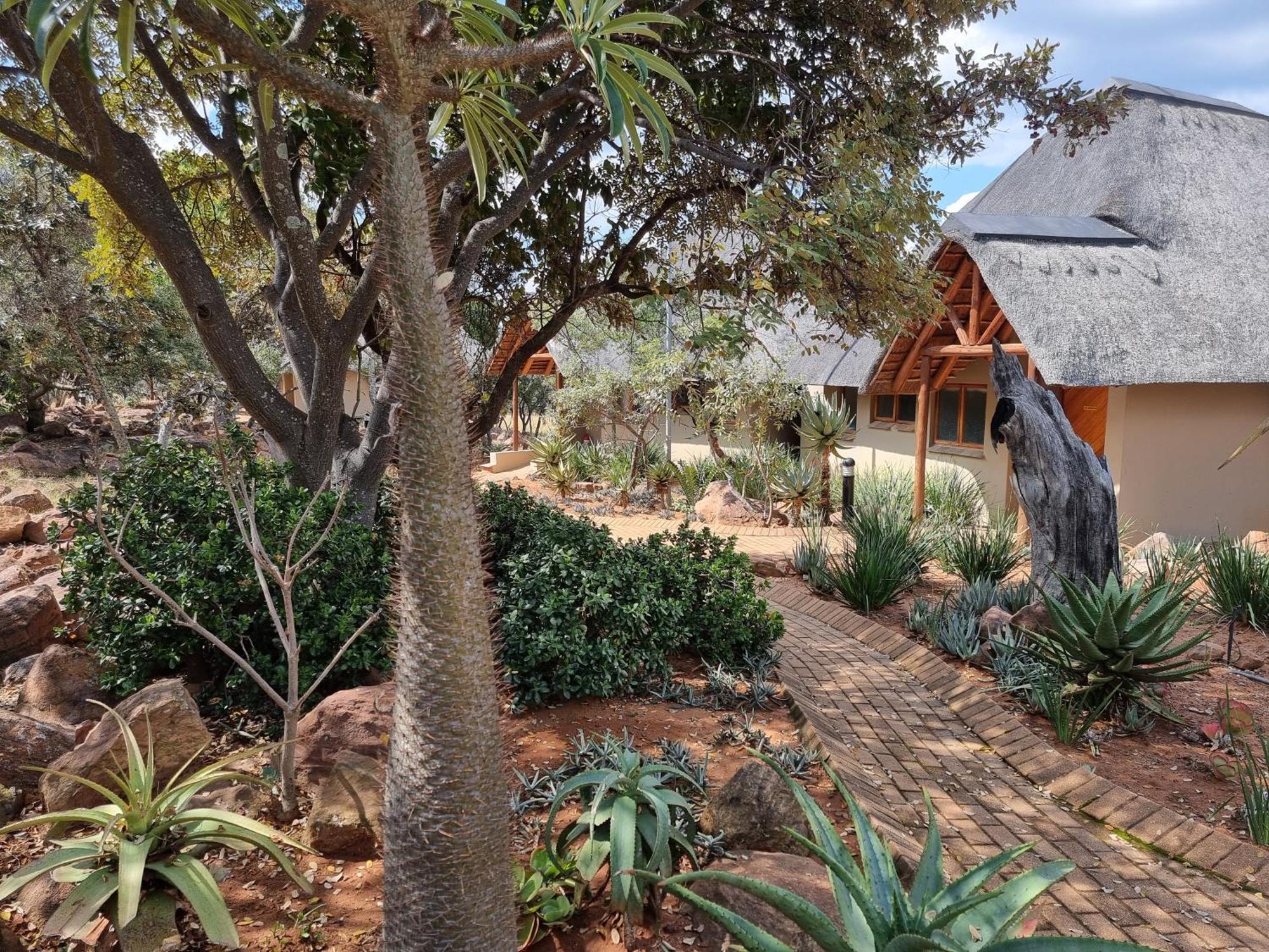 Matingwe Lodge Hartbeestfontein ภายนอก รูปภาพ